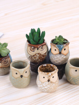 Купить New Cartoon Owl-shaped Flower Pot for Succulents Fleshy Plants Flowerpot Ceramic Small Mini Home/Garden/Office Decoration Free D