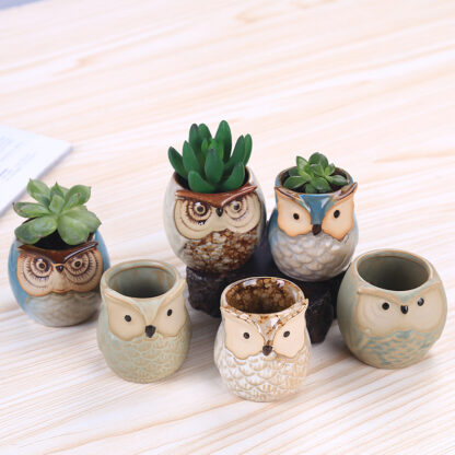 Купить New Cartoon Owl-shaped Flower Pot for Succulents Fleshy Plants Flowerpot Ceramic Small Mini Home/Garden/Office Decoration Free D