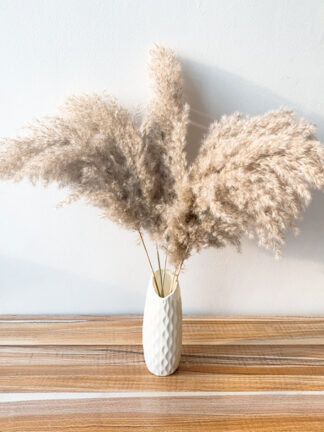 Купить 10/20pcs Pampas Grass Fuffy Dried Natura Reed Fowers Bouquets Contains Coored Pastic Vase Christmas Home Wedding Decor