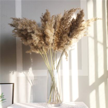 Купить ight coor wedding fowers bunch natura dried pampas grass fower beautifu reed christmas home wedding decoration phragmites