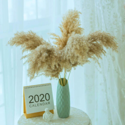 Купить MINI pampas grass decor pants home wedding decor dried fowers Bouquet feather fowers natura phragmites ta 17.7-19.6