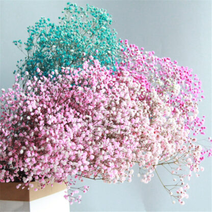 Купить Babies Breath Rea Fowers Gypsophia DIY Natura Dried Fower Fora Bouquets Arrangement for Wedding Home Decoration