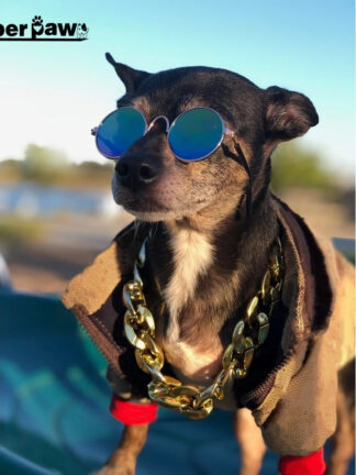 Купить Fashion Pet Jacket Coat Winter Warm Dog Cothes for Sma Medium Dogs French Budog Corgi Chihuahua Pug Costume WHC10