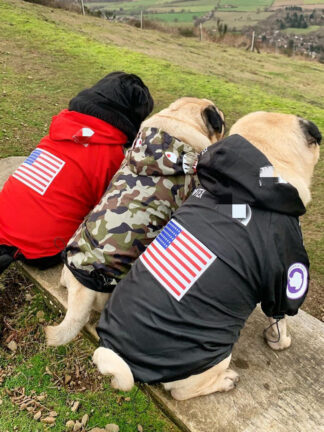 Купить Hot Pet Dogs Cothes Raincoat for Puppy Sma Big Dogs Cothing French Budog Cothes Pug Hoodies Dog Windbreaker Jacket S-5X