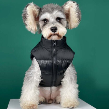 Купить Down French Budog Dogs Vest Jacket Winter Warm Pet Dog Cothes Fashion Chihuahua French Budog Sma Medium-Sized Dog Coat X