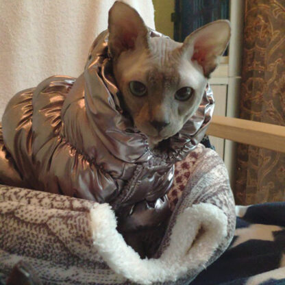 Купить Warm Stephen Cat Jumpruist Costume for Cats Winter Pet Cothes Gotas Mascota Cothing Cat Coat Down Jacket disfraz para perro