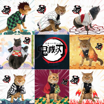 Купить Demon Sayer Cospay Cat Cothes Costumes Kigurumi Suit For Animator Spider Dress Chat Fancy Fantasia Pet Dog Disguise Cape