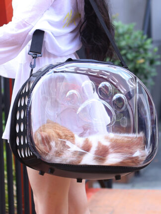 Купить Transparent pet bag fashion cat bag obique cross pet out bag fodabe washabe four seasons universa comfortabe and spacious