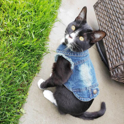 Купить Denim Cat Cothes for Cats Fashion Cat Coat Jacket Warm Outfits ovey Pet Cat Cothing Casua Jeans Outfits For Dogs Costume