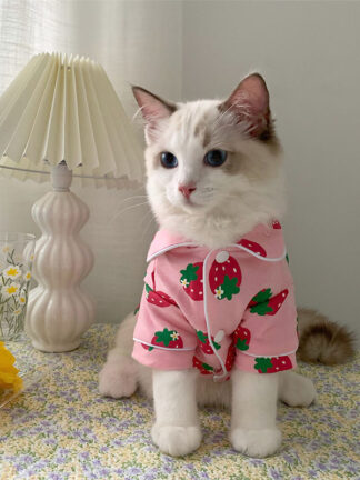 Купить Spring Cat Costume Cute Cozy Pet Cothes for Cats Katten Kedi Hoodie Mascotas Gato Sweatshirt Cat Sweater Pets Cothing Outfit