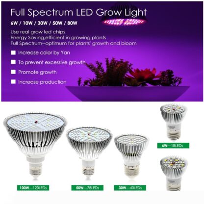 Купить 30W 50W 80W LED Growing Bulb Hydroponics Flowers Plants LED Growth Lamp Full Spectrum E27 Grow Light for Indoor LED009