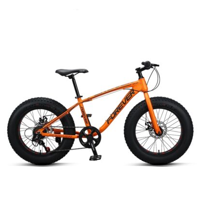 Купить 4.0 Tire 20 Inch 7 Speed Aluminum Alloy Brake Snow Bike Fat Bicycle with Double Brakes for Students