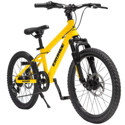 Купить EROADE children's mountain bike 20-inch ultra-light aluminum alloy shock-absorbing 6-speed dual-disc bicycle